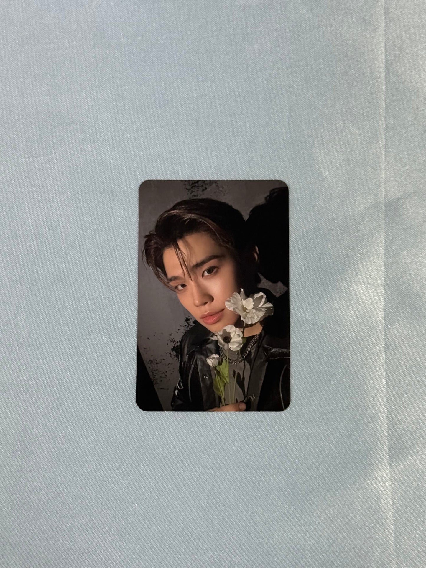 ZEROBASEONE Youth in the Shade Photocards